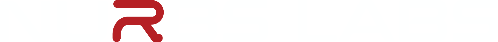 Nurbs Labs Premium Logo